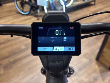 Riese & Müller Delite 5 Gt Pinion Hs