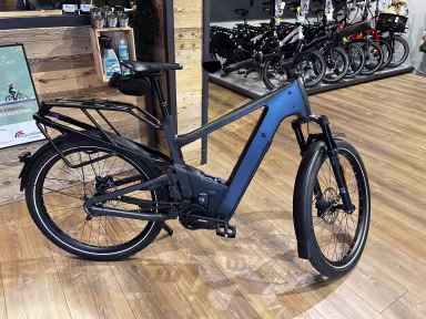 Riese & Müller Delite 5 Gt Pinion Hs