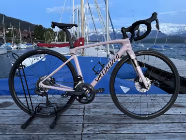 SPECIALIZED Roubaix Expert