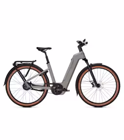 Kalkhoff City-E-Bike Entice 5+ Advance Belt Wa 800Wh