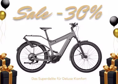 Riese & Müller Superdelite Gt Touring