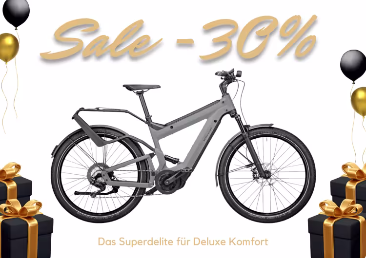 Riese & Müller Superdelite Gt Touring