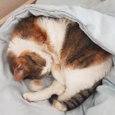 Anne-Catherine aus NE