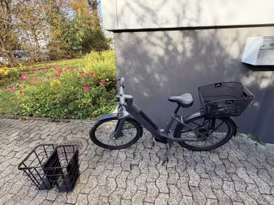 Canyon Precede:on Cf 8