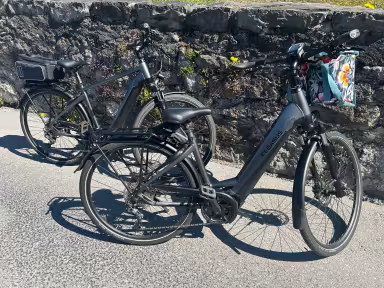 Pegasus Premio Evo 10 Lite