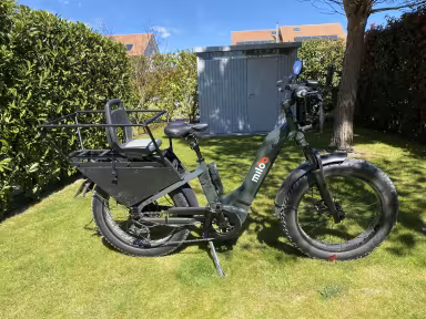 Miloo Cargo Beast 45Km/H