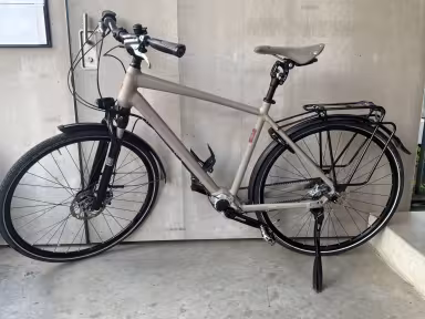 IBEX Daily Quest Pinion