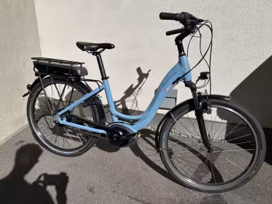 Riese & Müller Swing 3 Vario