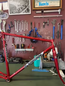 COLNAGO Saronni Original