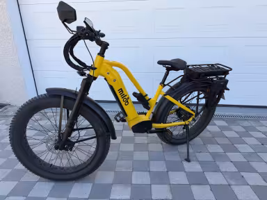 Miloo Might Beast 45 Km/H