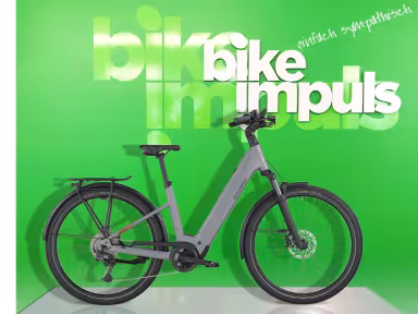 Bergamont E-Horizon Sport 10 Wave