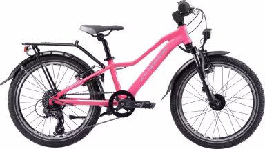 Mustang Appaloosa Sl 20