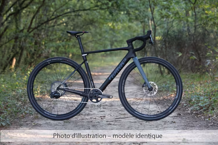 Wilier Triestina Rave Slr