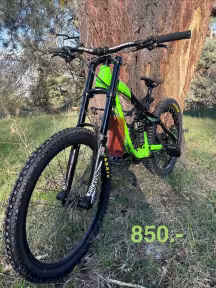 NORCO Aurum 6.2