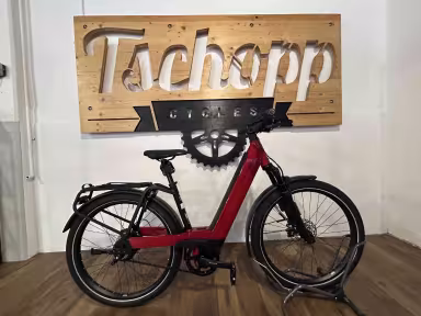 Riese & Müller Nevo