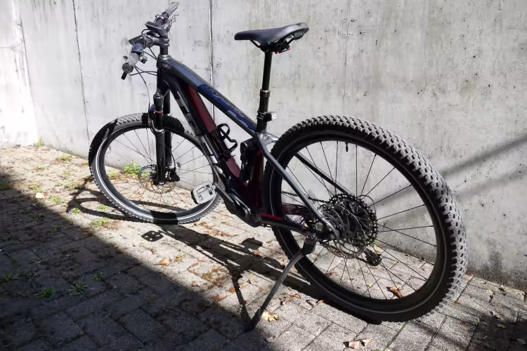 TREK Powerfly 7