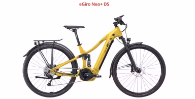 Cresta eGiro DS Neo+