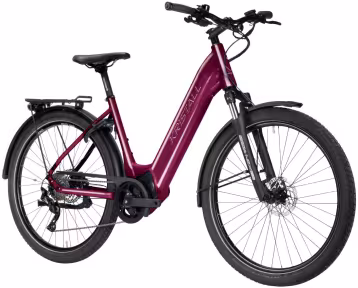 Kristall E-45 Rwa Iii Deore 11 Bordeaux