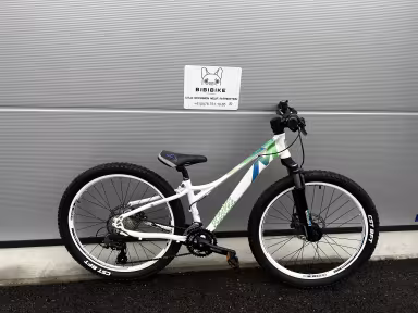 Mustang Trailstar 24"