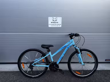 SPECIALIZED Hotrock 24