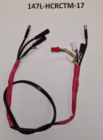 Giant Hauptkabel / Explore E+ 45km/h MY21