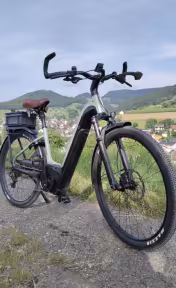 Cannondale 29 U Tesoro Neo X 1 Lsth