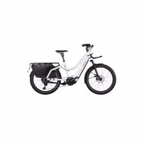 Riese & Müller E-Bike Multicharger2 Mixte Gt Touring 45