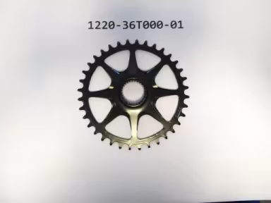 Giant / Liv Kettenblatt für E-Bikes (2019/2020)