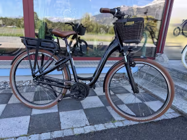 Riese & Müller Swing Silent