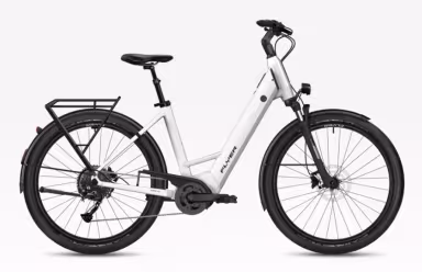 Flyer G1 Gotour EL 3.12 XC Comfort