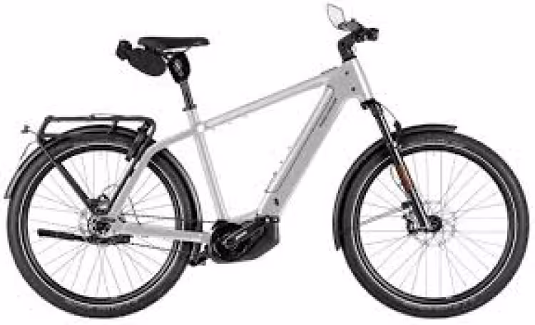 Riese & Müller Charger5 pinion