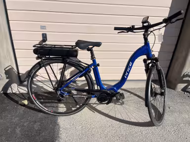 Price e-Xpress Unisex Bosch iTube