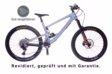 Santa Cruz Bronson C 2