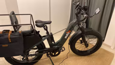 Miloo Cargo Beast 45Km/H