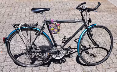 Basilisk Bike Jucker Trekking Lx