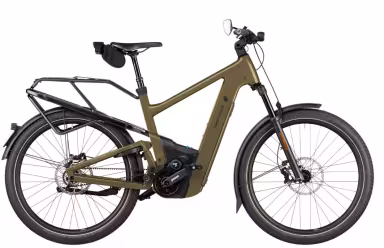 Riese & Müller Delite5 Gt Pinion Hs