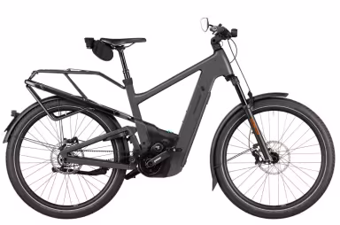 Riese & Müller Delite5 Gt Pinion Hs