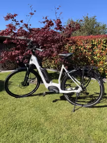 Simplon Active Line Plus