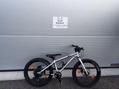 Early Rider Hellion 20