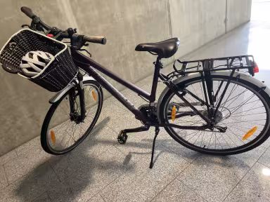 Crosswave Cross Country Lady 28‘‘