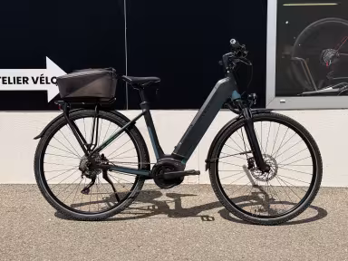 Kalkhoff Entice 5 Advance+