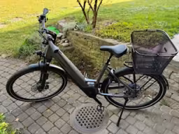 Stevens Triton 9.7.1.