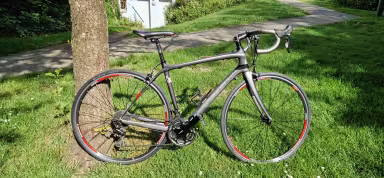 TREK Domane 4.3