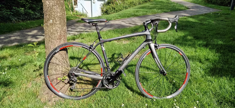 TREK Domane 4.3