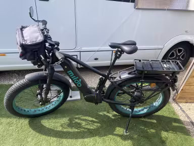 Miloo Might Beast 45 Km/H