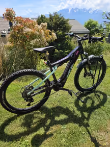 KTM Macina Lycan 272 Glorious