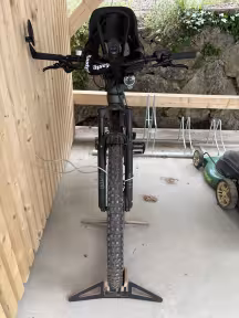 Bulls Sonic EVO AM 2 Carbon