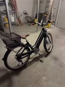 Electra Townie Go! 5I Mit Bosch Motor
