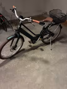 Electra Townie Go! 5I Mit Bosch Motor