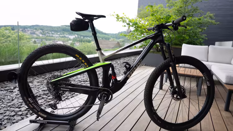 Bixs Pace